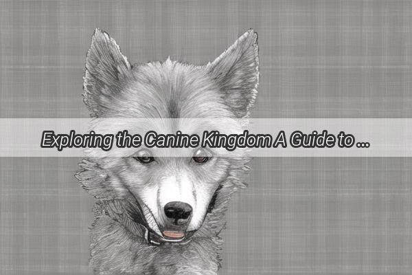 Exploring the Canine Kingdom A Guide to the Best Dog Breeds to Foster in Fuzhou